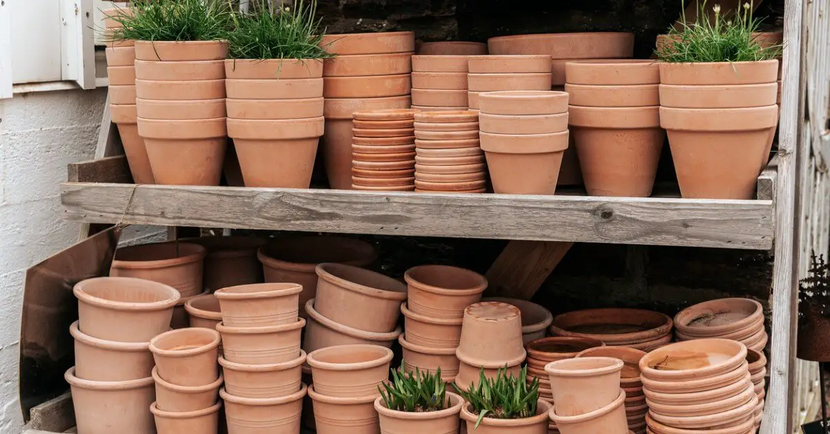 Selves of terracotta pots