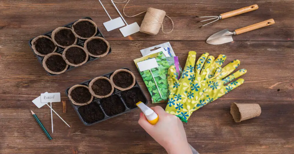 How to start seeds indoors
