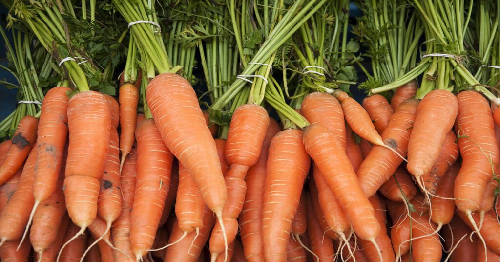Bunch of man-made carrots