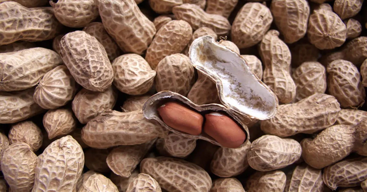 Is the Peanut Manmade? (History of the Peanut) GIY Plants