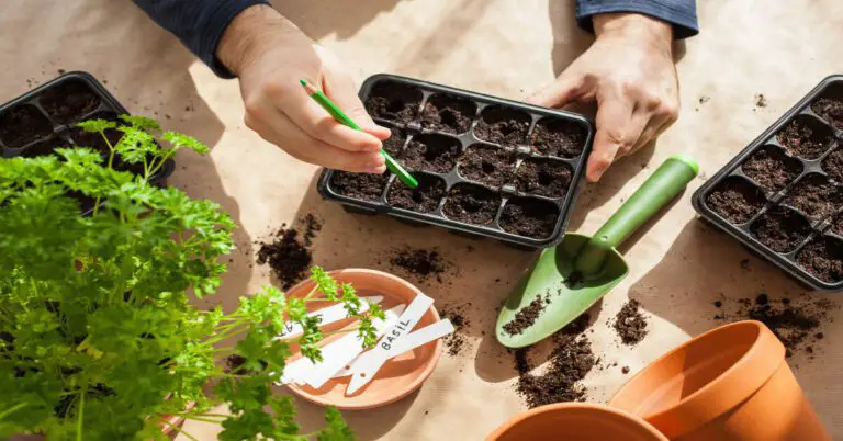 How to Start Seeds Indoors - GIY Plants