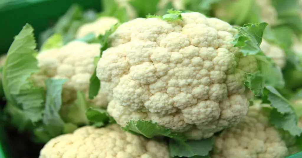 cauliflower is man-made