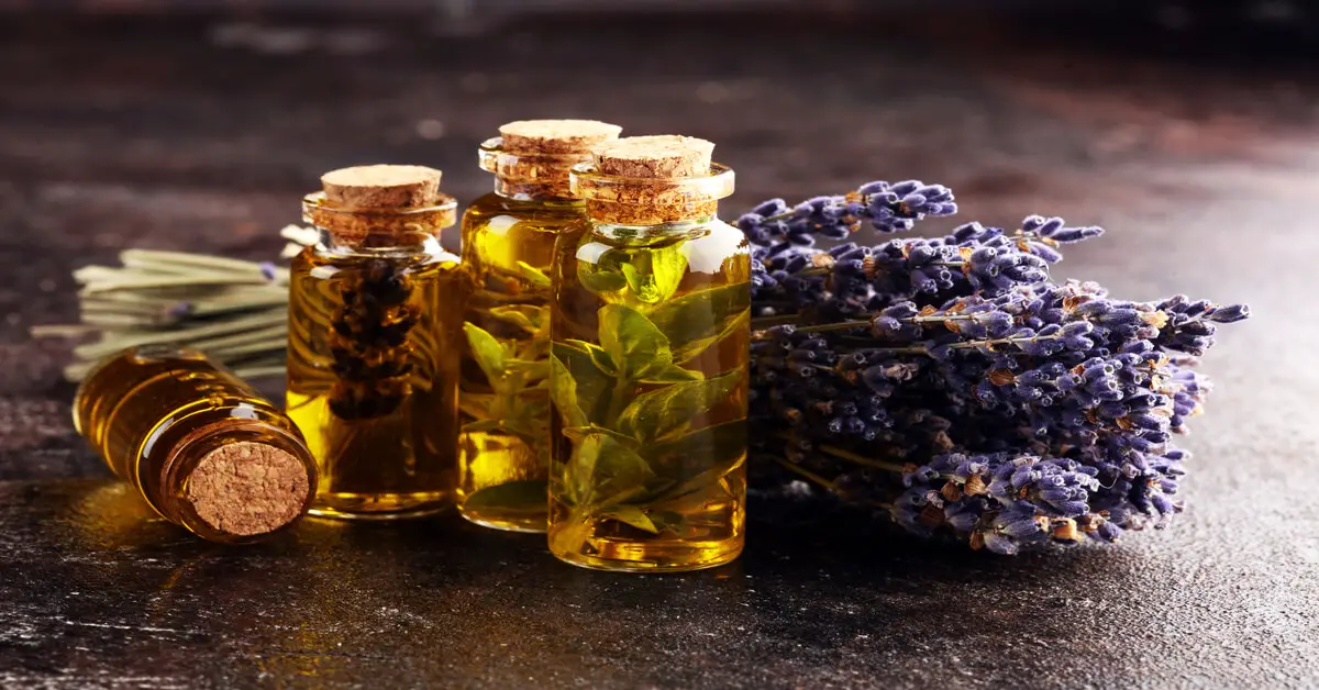 Benefits of lavender flowers and oils
