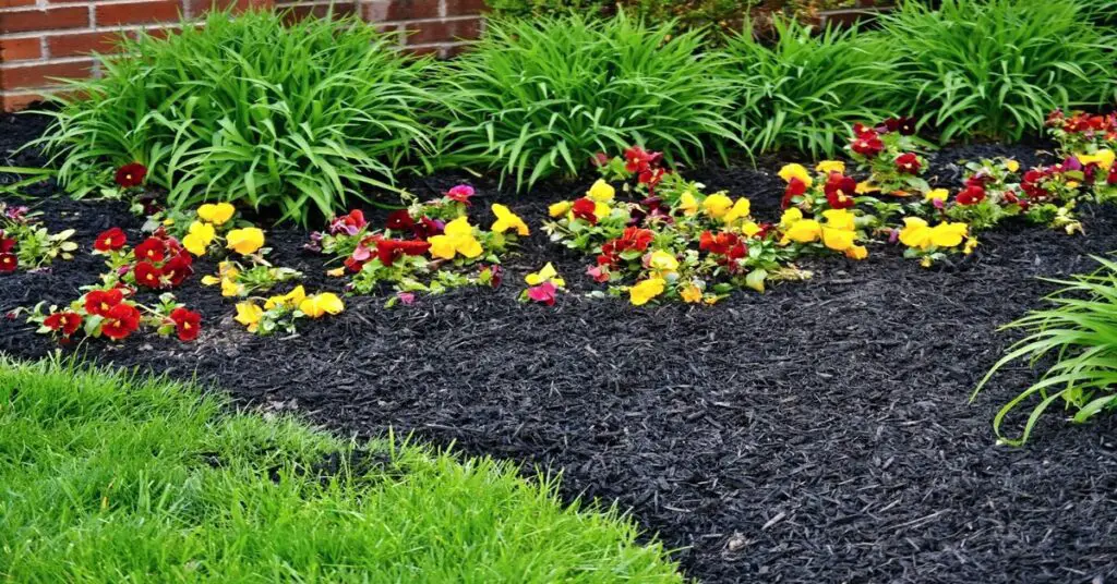 Mulch vs compost in flower bed