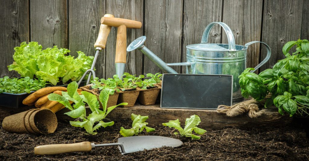 Gardening items like plants and tools