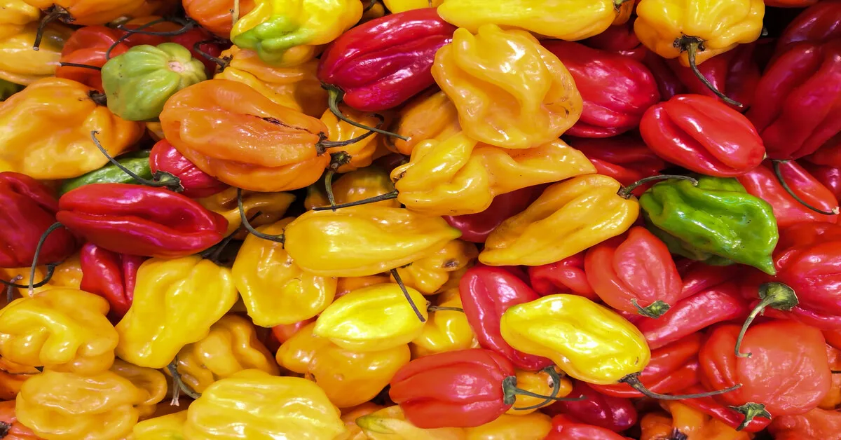 How hot are habanero peppers