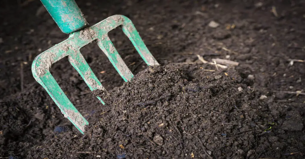 Rake turning over topsoil vs potting soil