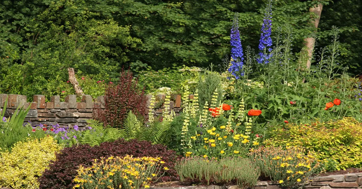 Types of gardening example of a flower garden