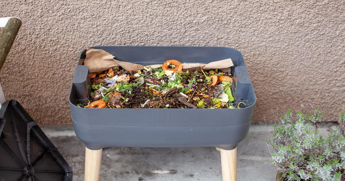 Food scraps that worms eat