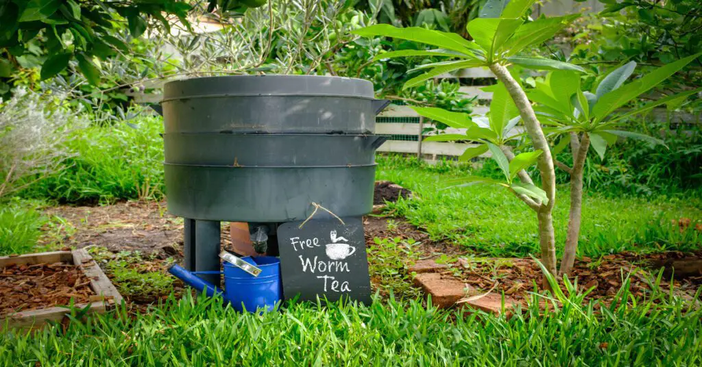 Worm Composting bin in yard