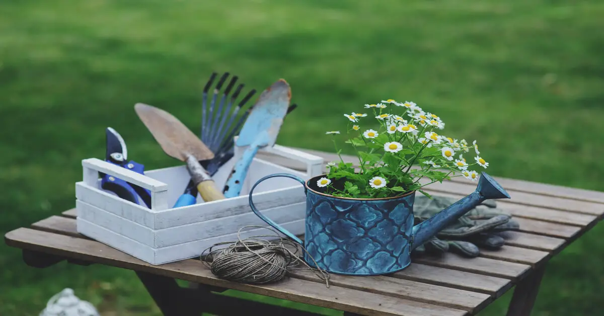 Essential gardening tools every gardener should have