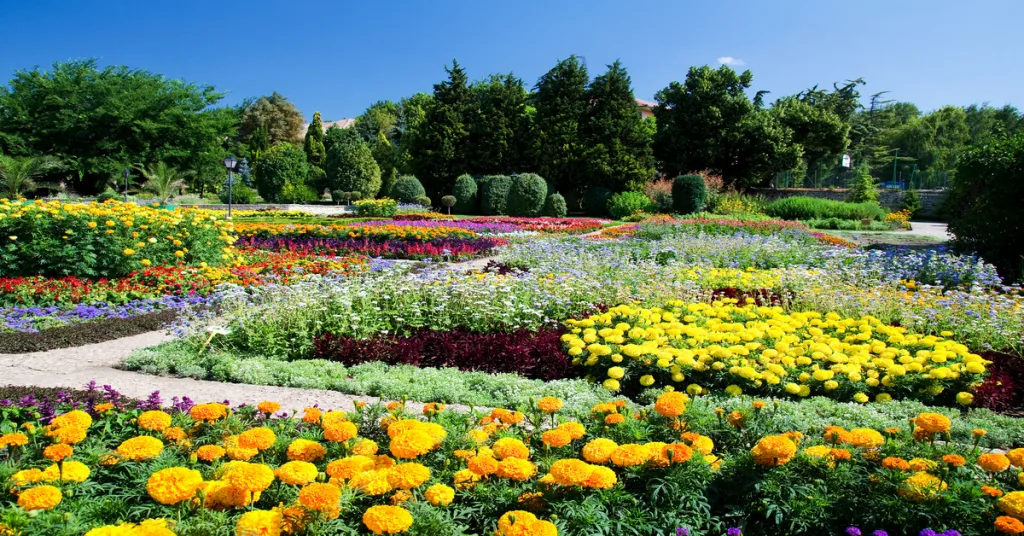 View of flowers outside botanical gardens