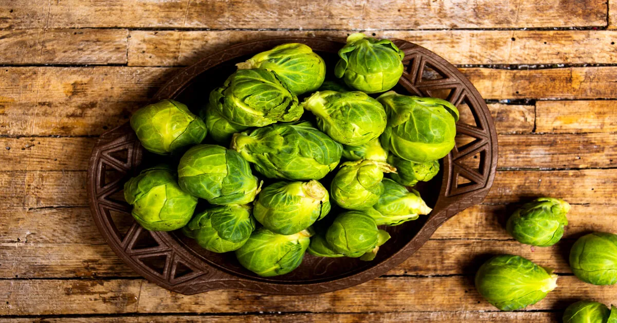Harvested brussels sprouts in a bowl