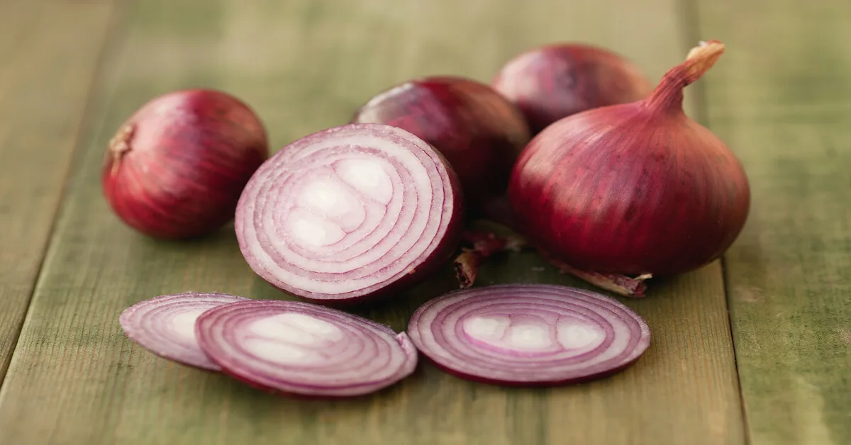 Red onion variety