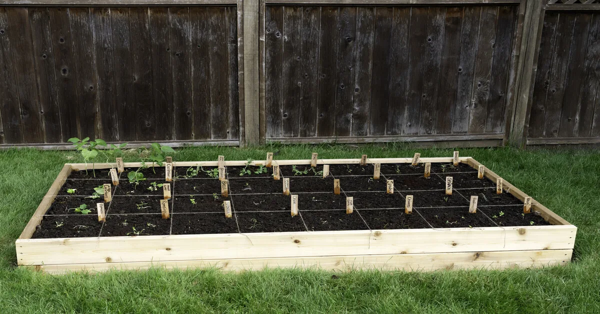 What is square foot gardening