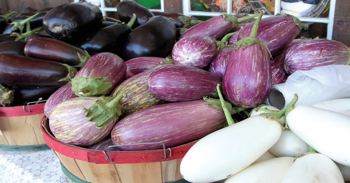Worst eggplant companion plants