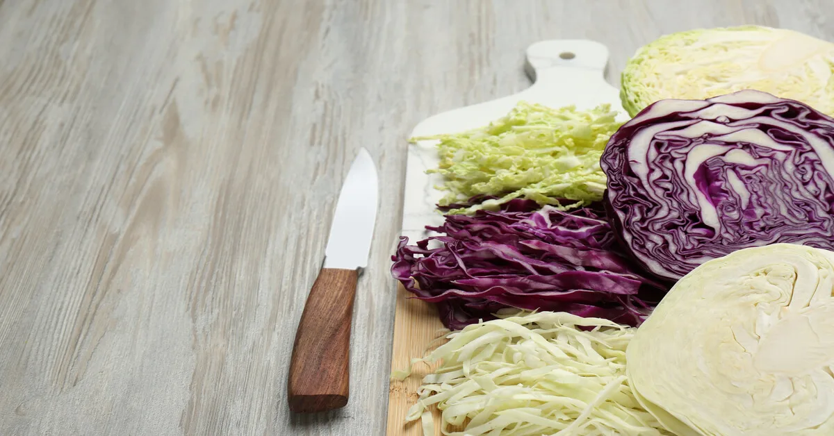 Harvesting cabbage