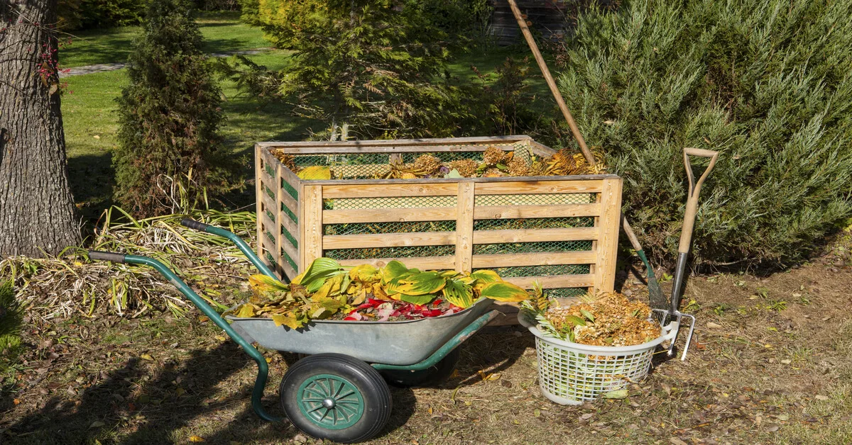 Produce Your Own Compost To Reduce Fertilizer Costs
