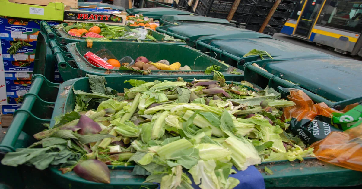 Reducing food waste will save you money