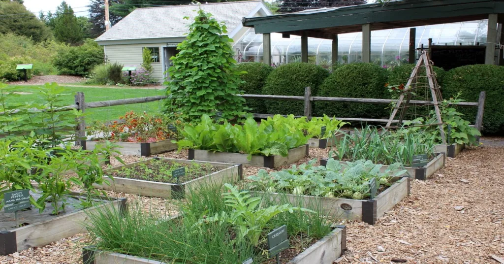 9 Ways Gardening Can Save You Money