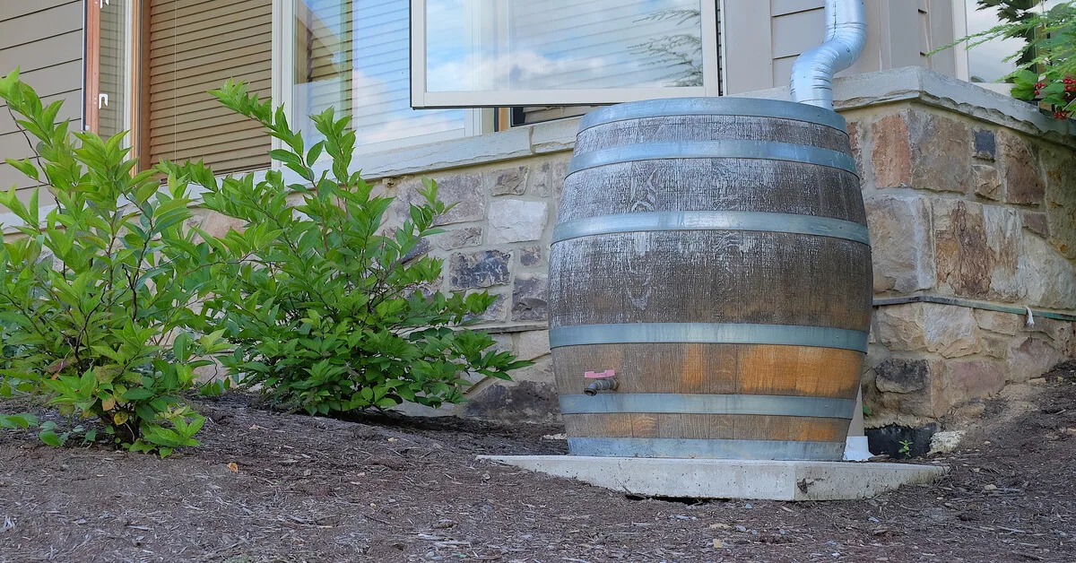 Recycling Rainwater using a rain barrel