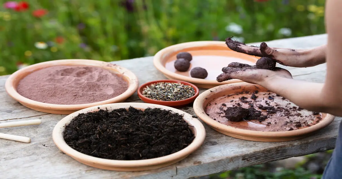 How to make seed bombs for chaos gardening