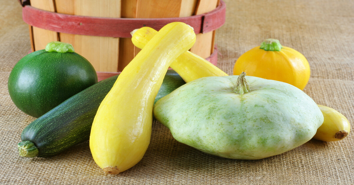 Summer squash grown in a tower garden on patio