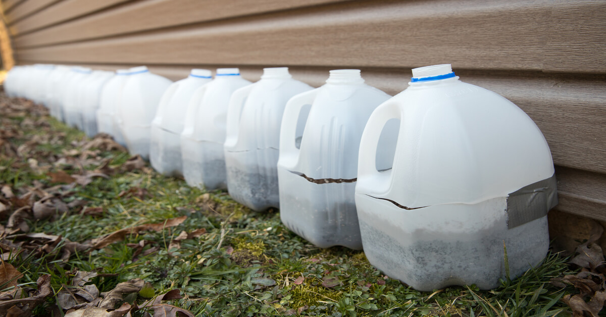 Milk jug greenhouse