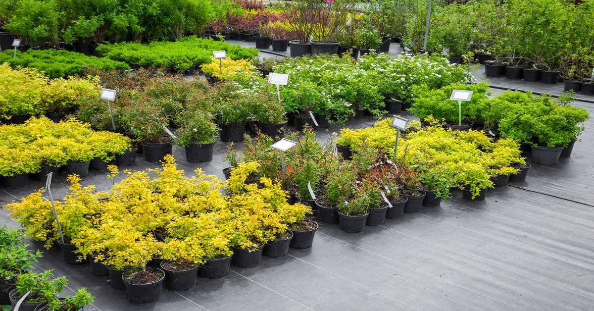 Purchase Locally Grown Plants to reduce carbon footprint
