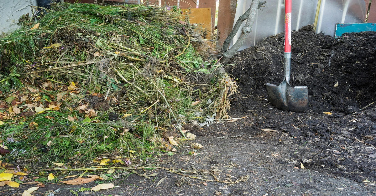 Two piles of compost, one finished and one that needs to be broken down.