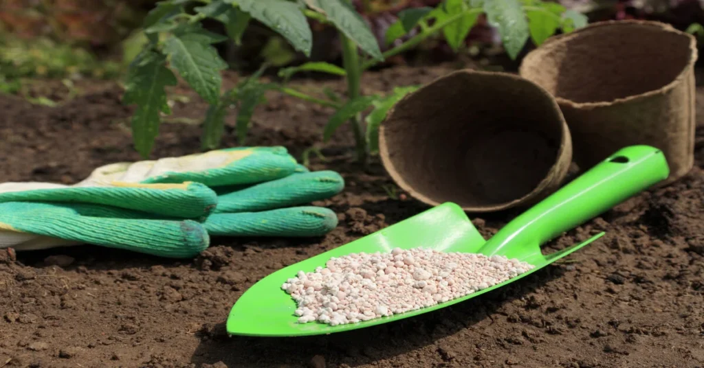 handheld garden shovel full of granular fertilizer sitting in front of gloves and two empty peat pots.