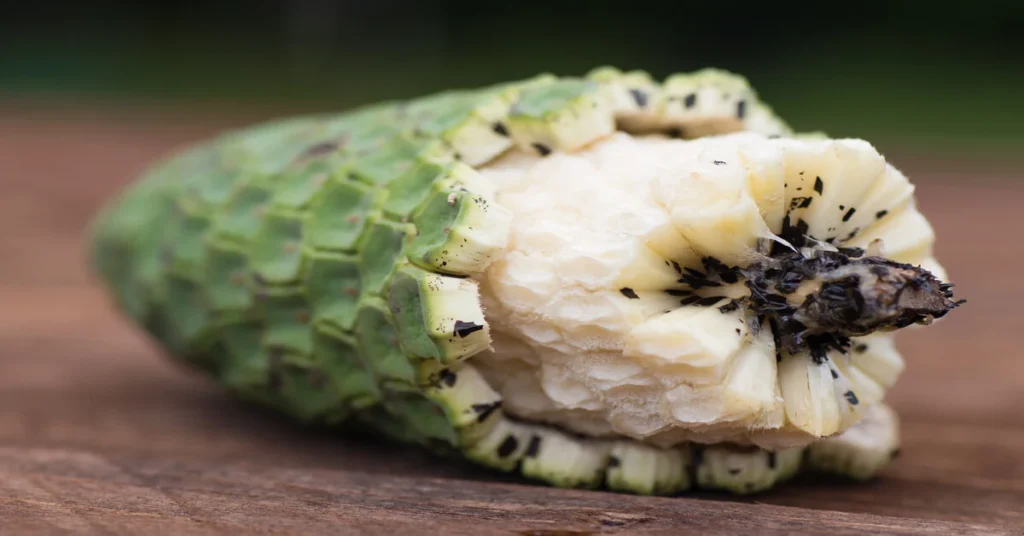 Edible monstera fruit opened up and sitting on wood counter.