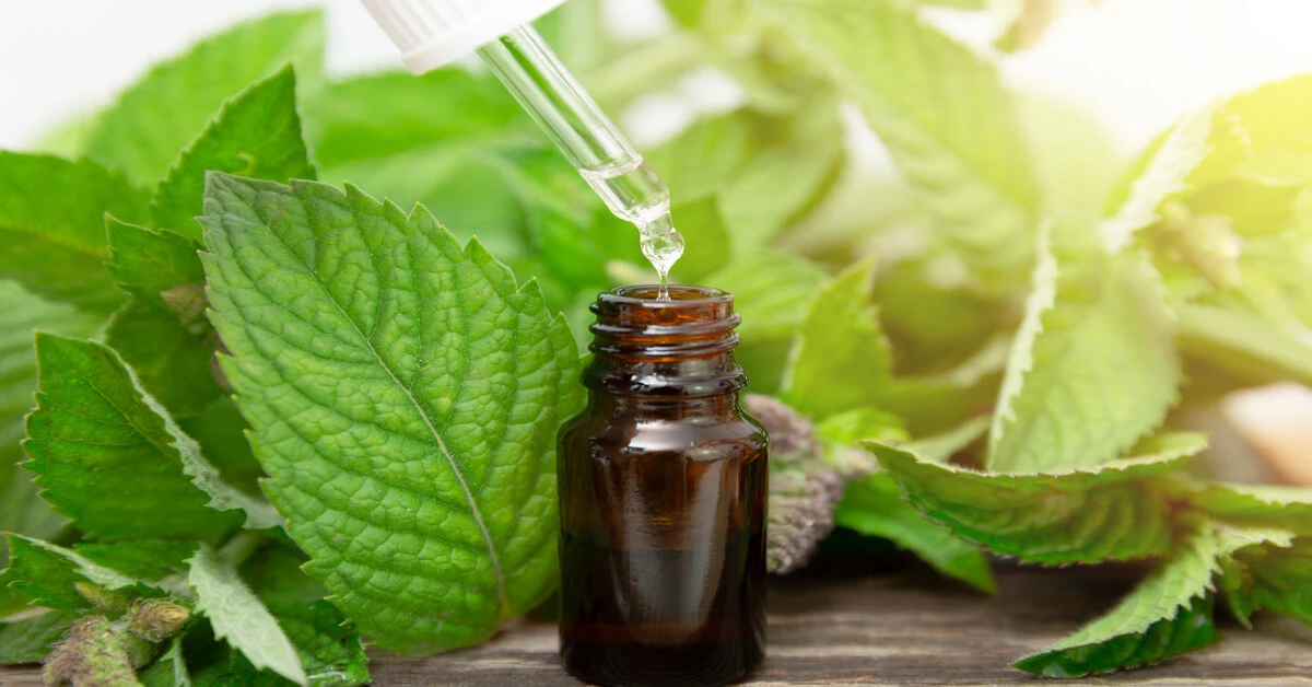 Small jar of peppermint essential oil with fresh peppermint leaves around it