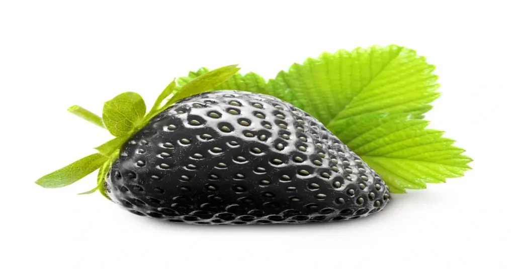 Black strawberry with white background.