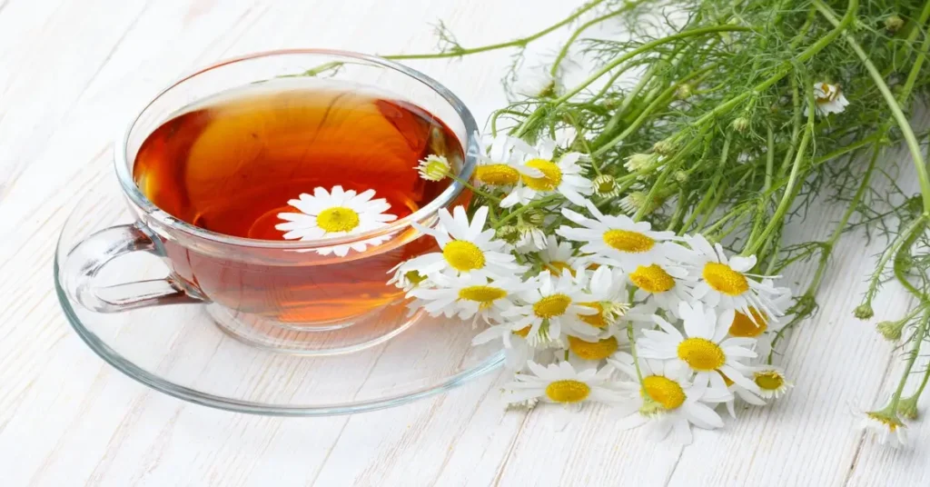 Cup of tea from chamomile vs feverfew
