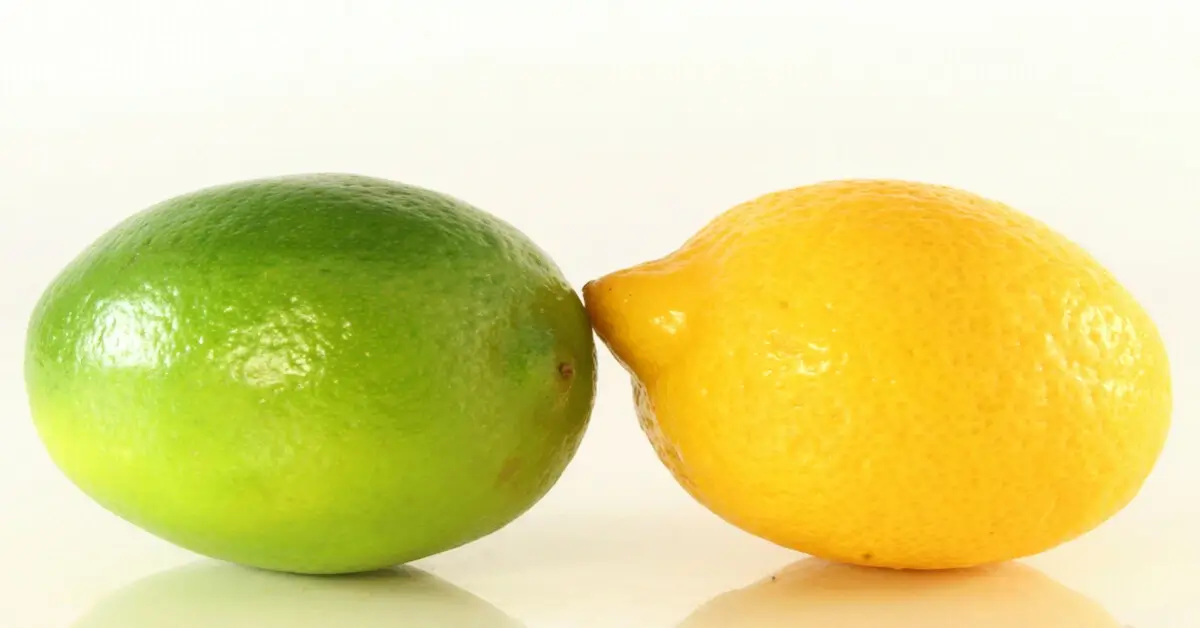 A green lemon vs yellow lemon with white background.