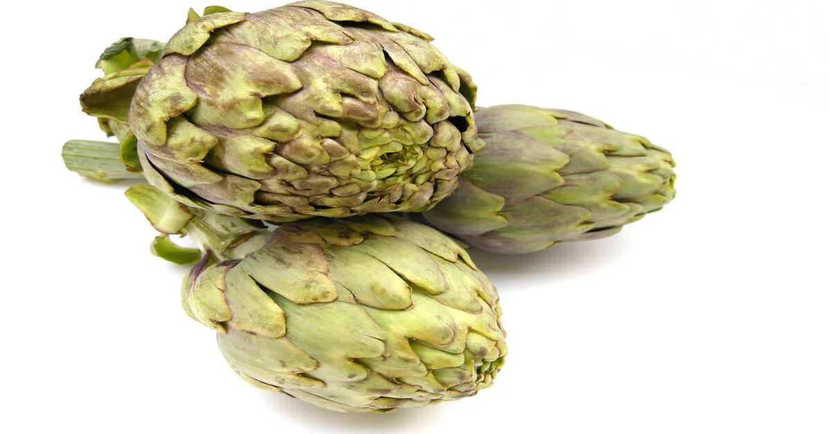 Three artichokes that have been harvested with white background.