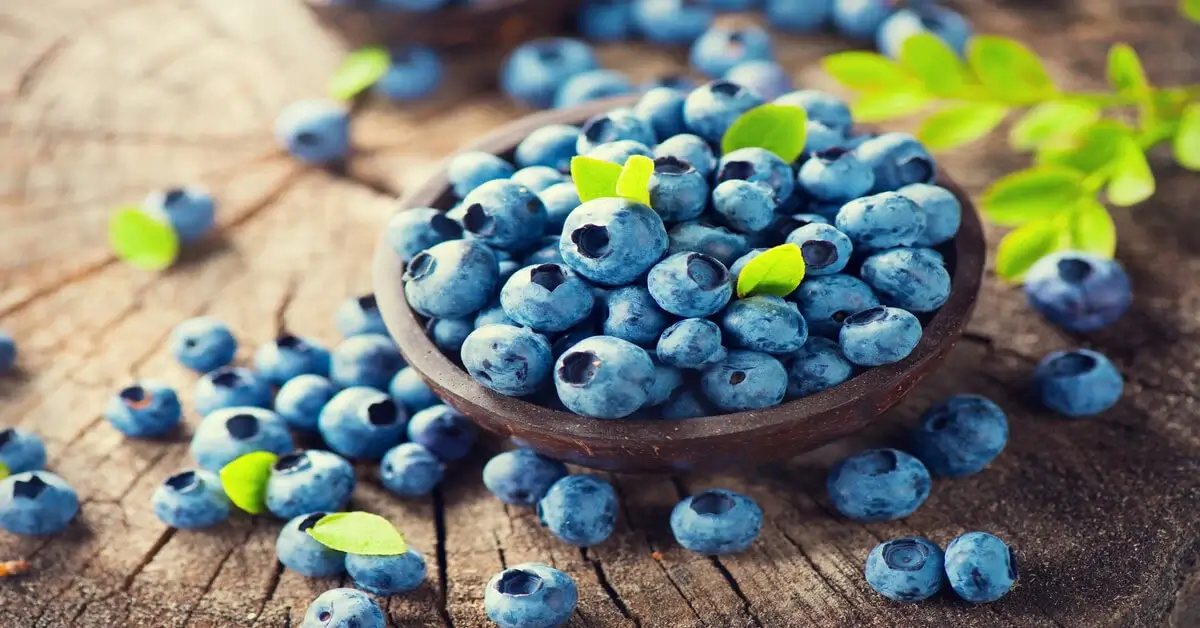 Bowl of blueberries on a wood background.