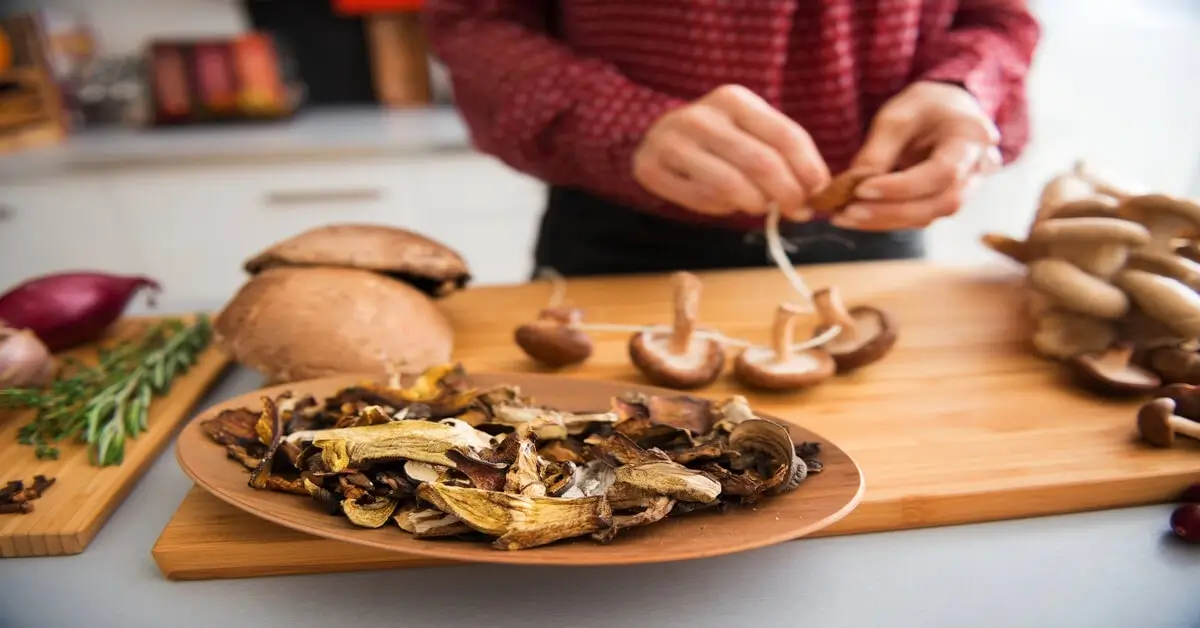 Mushrooms used in culinary.