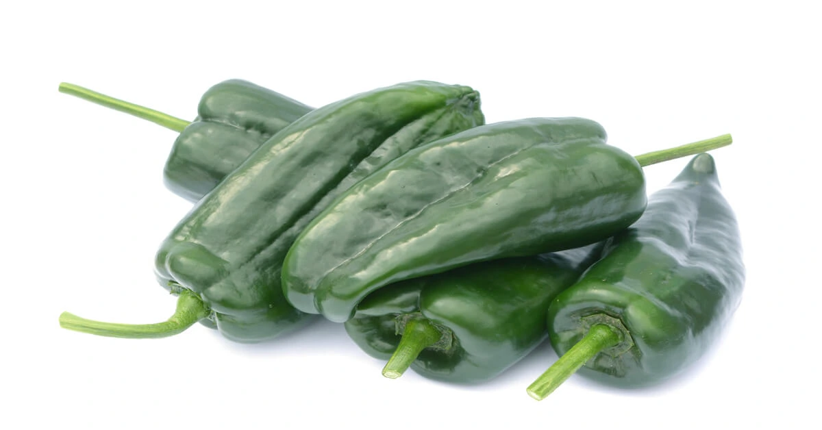 Five green poblano peppers on white background.