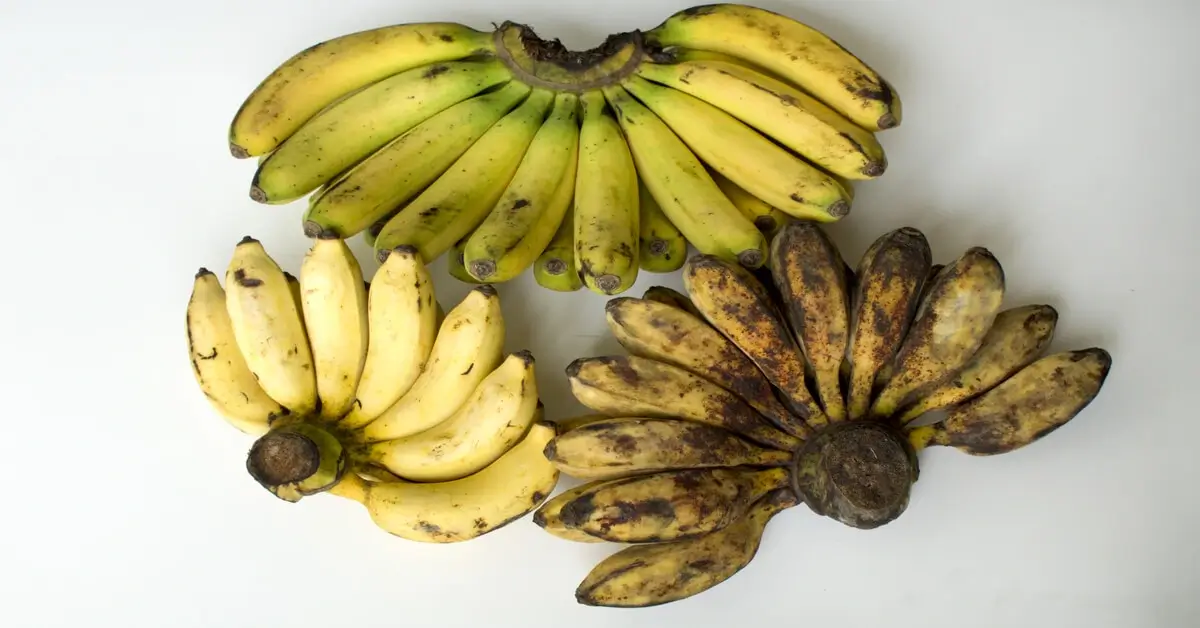 Three types of bananas with seeds.