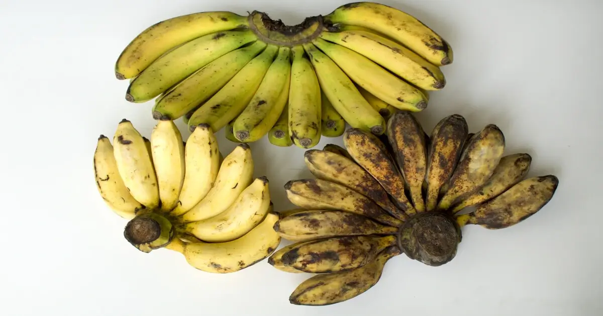 Do Bananas Have Seeds? - GIY Plants