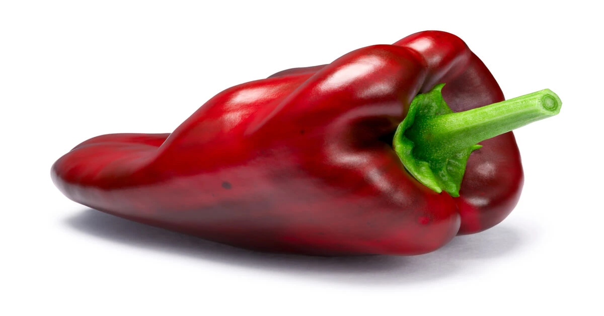 Red poblano type of pepper with white background.