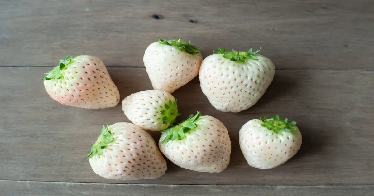 Seven white strawberries laying on wood background.