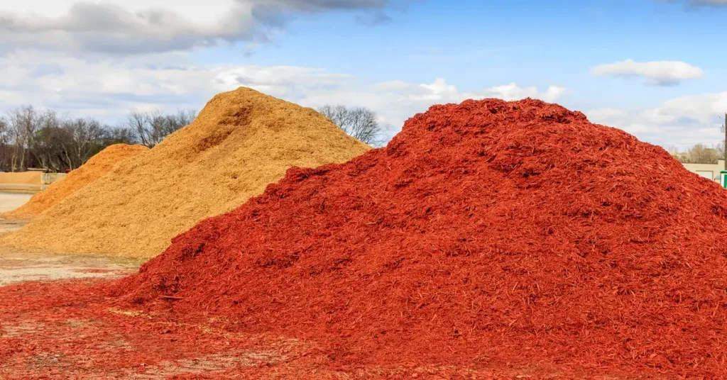Wood chips vs mulch. Two piles, one of natural wood chips the other red mulch.