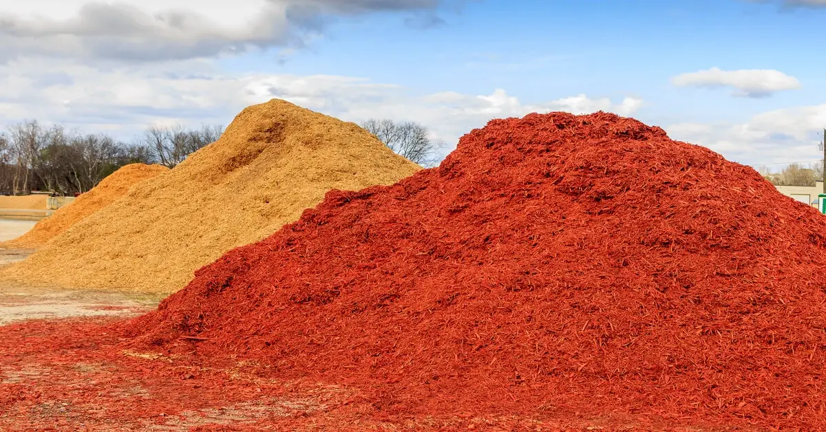 Wood Chips vs. Mulch GIY Plants