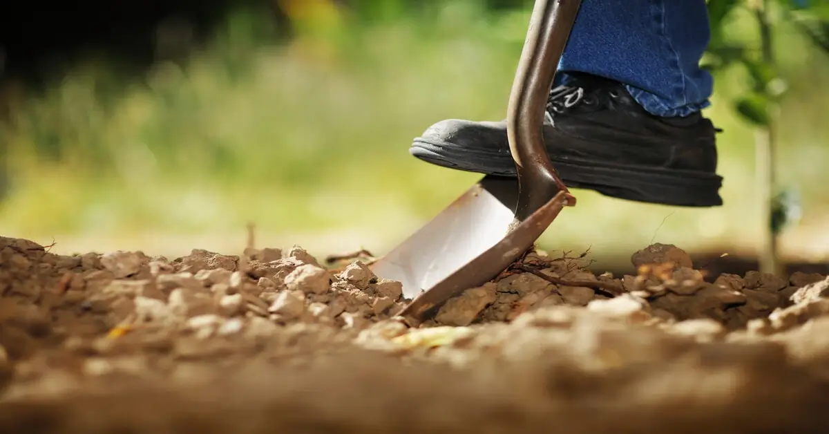 Gardener digging in soil with garden shovel.