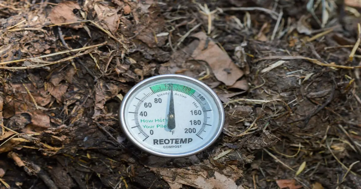 Thermometer in a compost pile reading 100 degrees during a hot compost method.