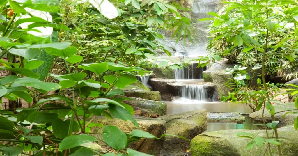 How to create a microclimate using water features, trees and walls. Waterfall feature surrounded by plants.