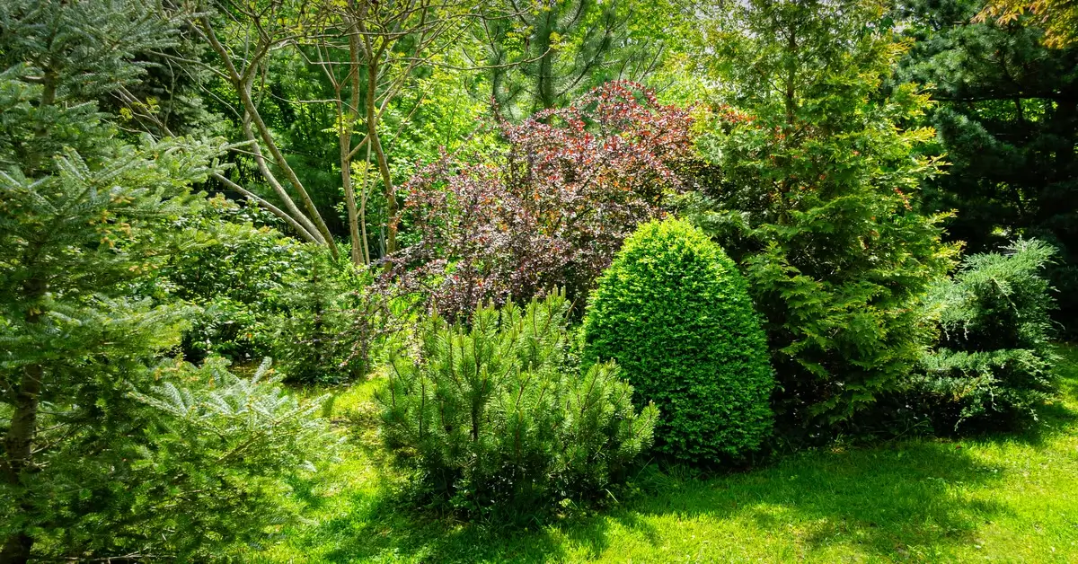 Trees and shrubs in landscape creating a microclimate.